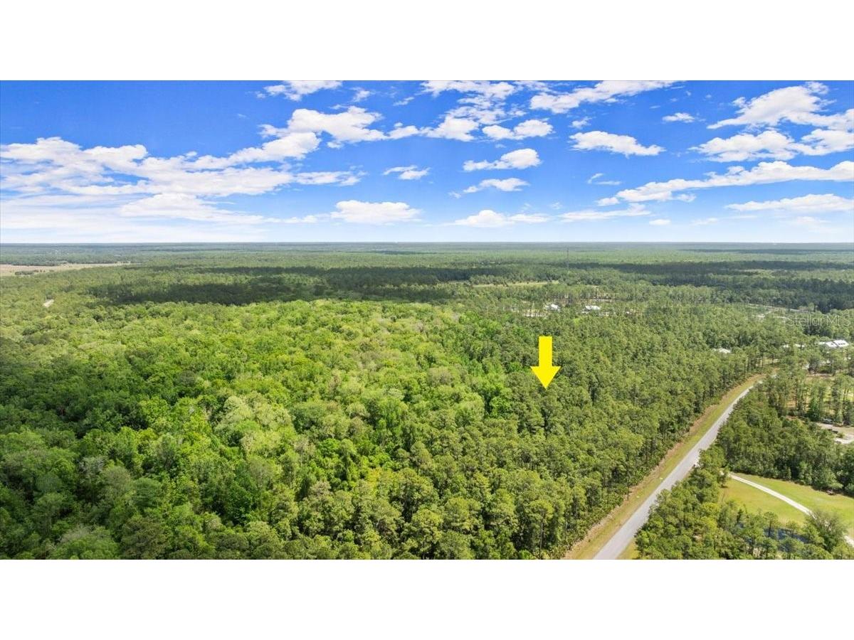 Ponderosa Avenue Deland FL 32720 W7874260 image1