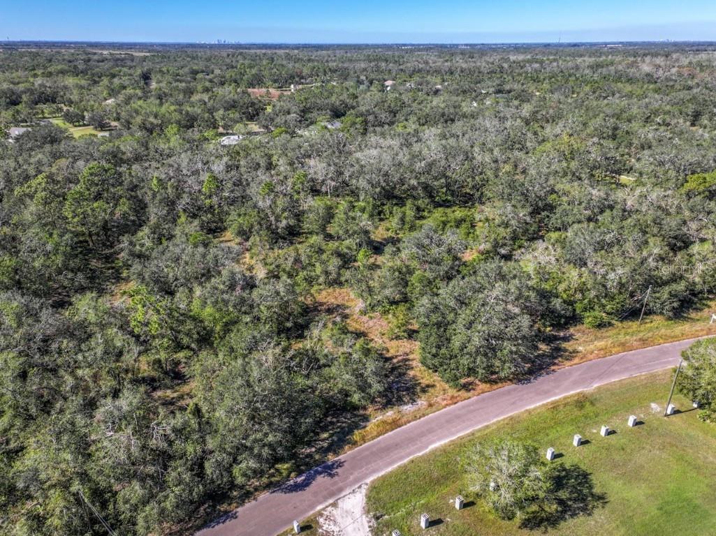 Ponderosa Trail #PARCEL B Wimauma FL 33598 W7870192 image1