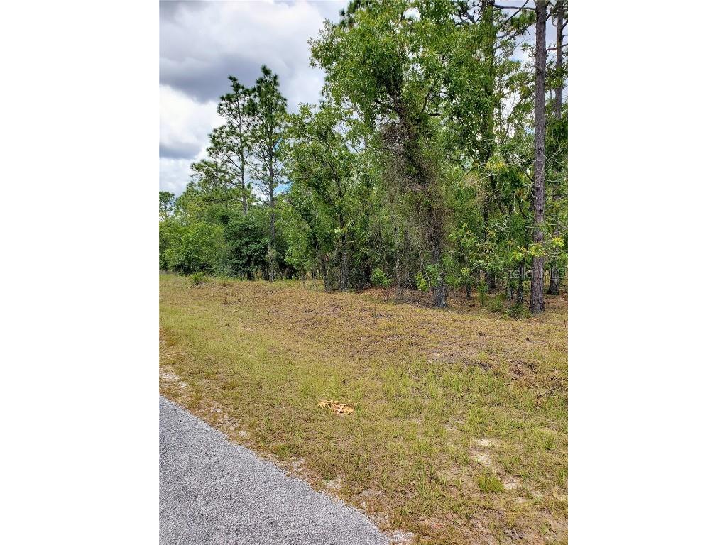 Pony Ridge Dr Dunnellon FL 34431 OM704453 image1