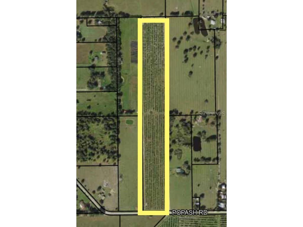 Popash Road Wauchula FL 33873 A4584092 image1