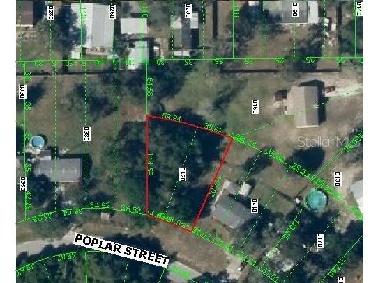 Poplar New Port Richey FL 34654 T3368762 image1