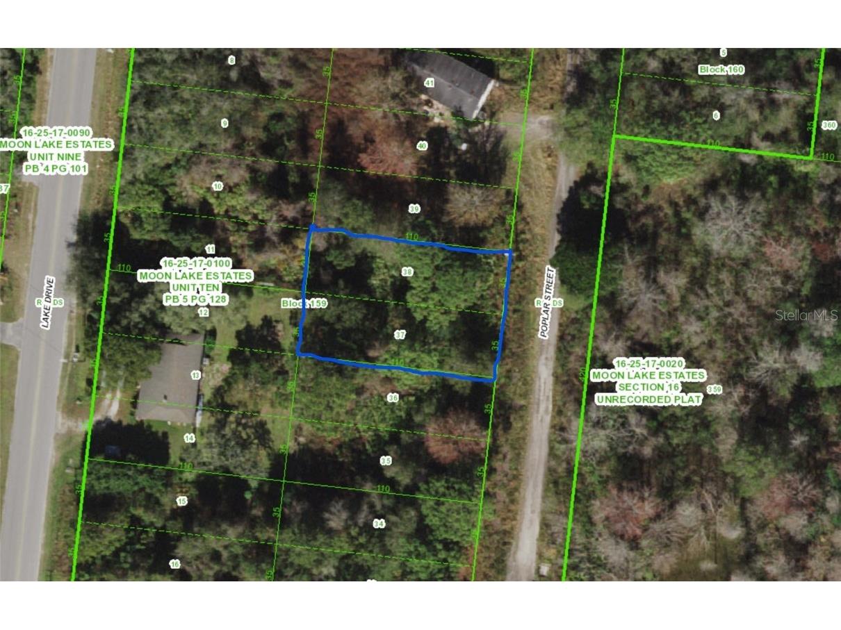 Poplar Street New Port Richey FL 34654 C7479190 image1