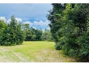 Poppys Point Oviedo FL 32765 O6060746 image1