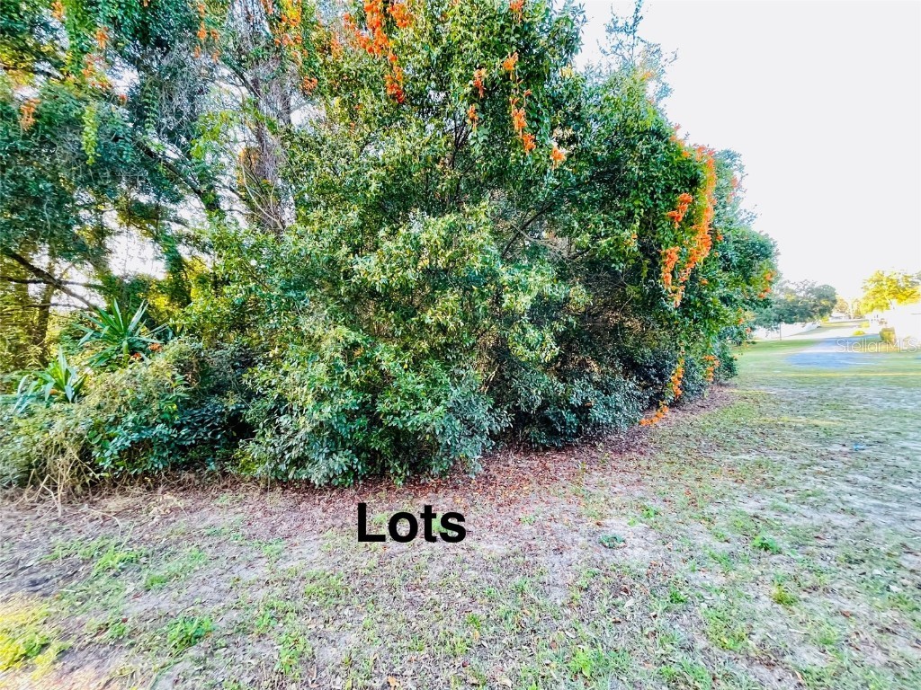 Portland Street Eustis FL 32726 O6176230 image1