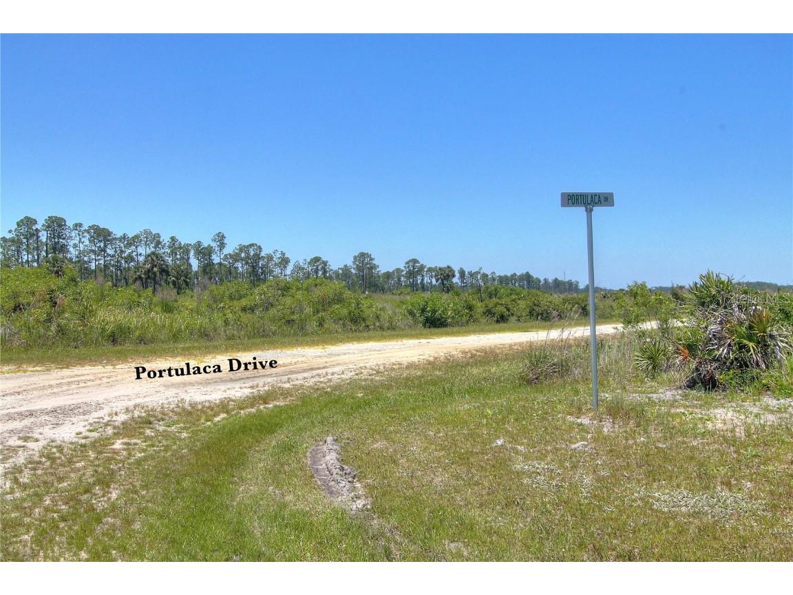 Portulaca Drive Indian Lake Estates FL 33855 S5115582 image1