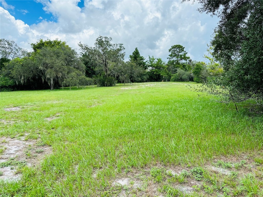 Post Rock Drive Tarpon Springs FL 34688 U8212189 image1