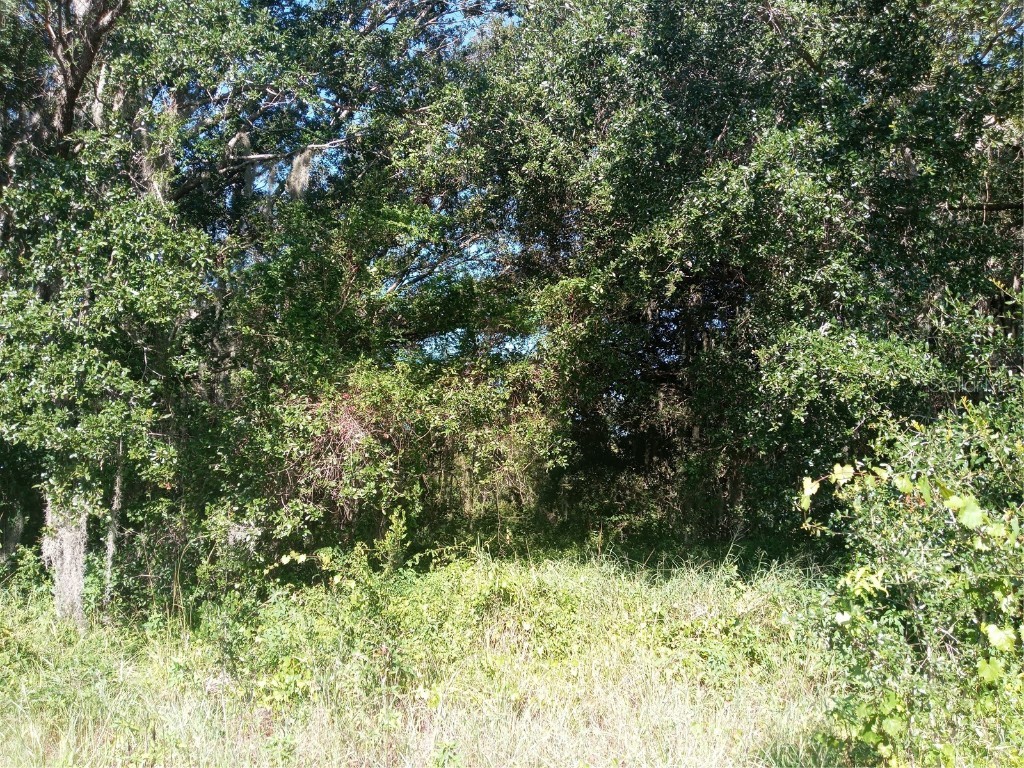 Postal Colony Road Clermont FL 34714 G5100854 image10