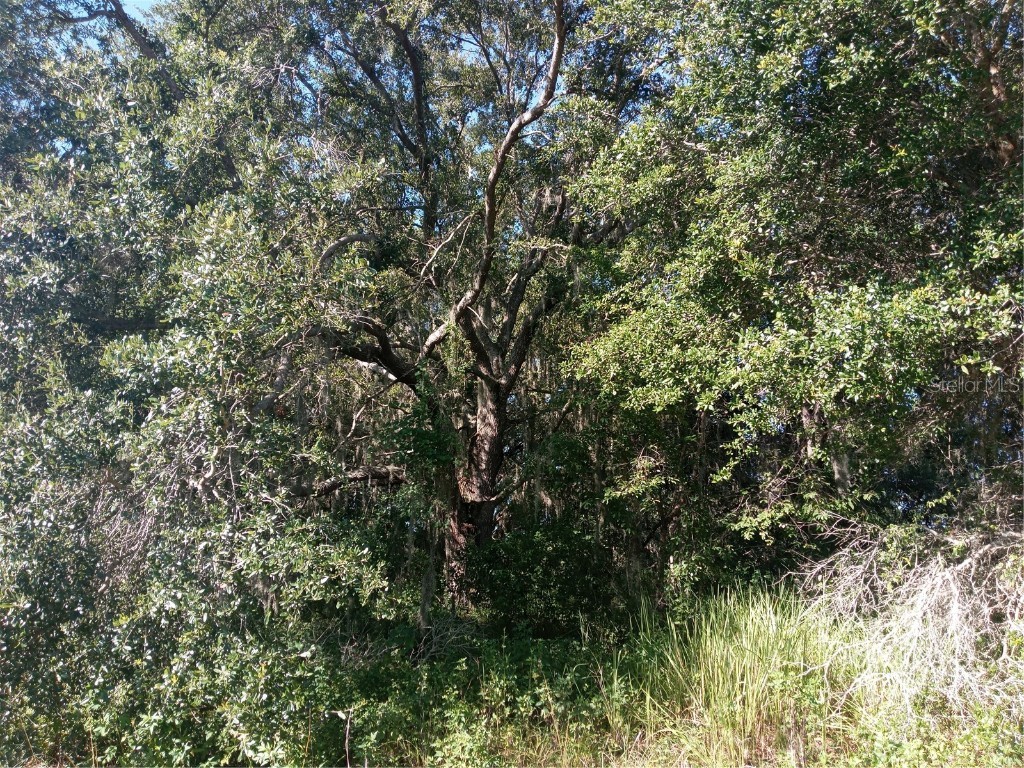 Postal Colony Road Clermont FL 34714 G5100854 image11