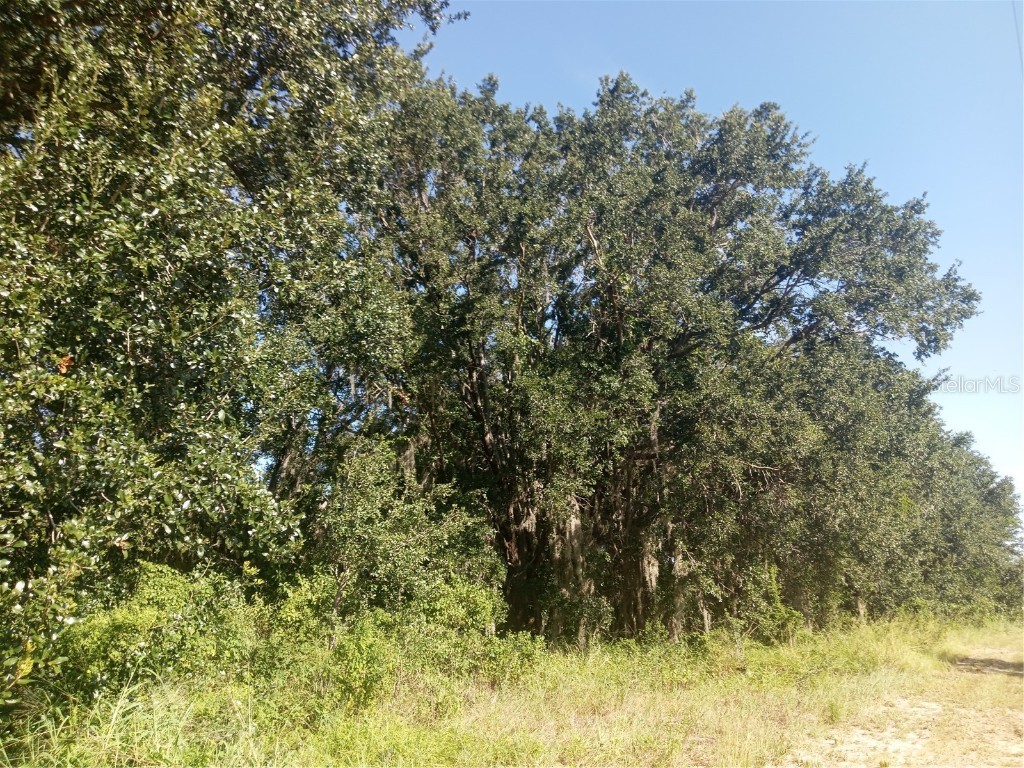 Postal Colony Road Clermont FL 34714 G5100854 image4