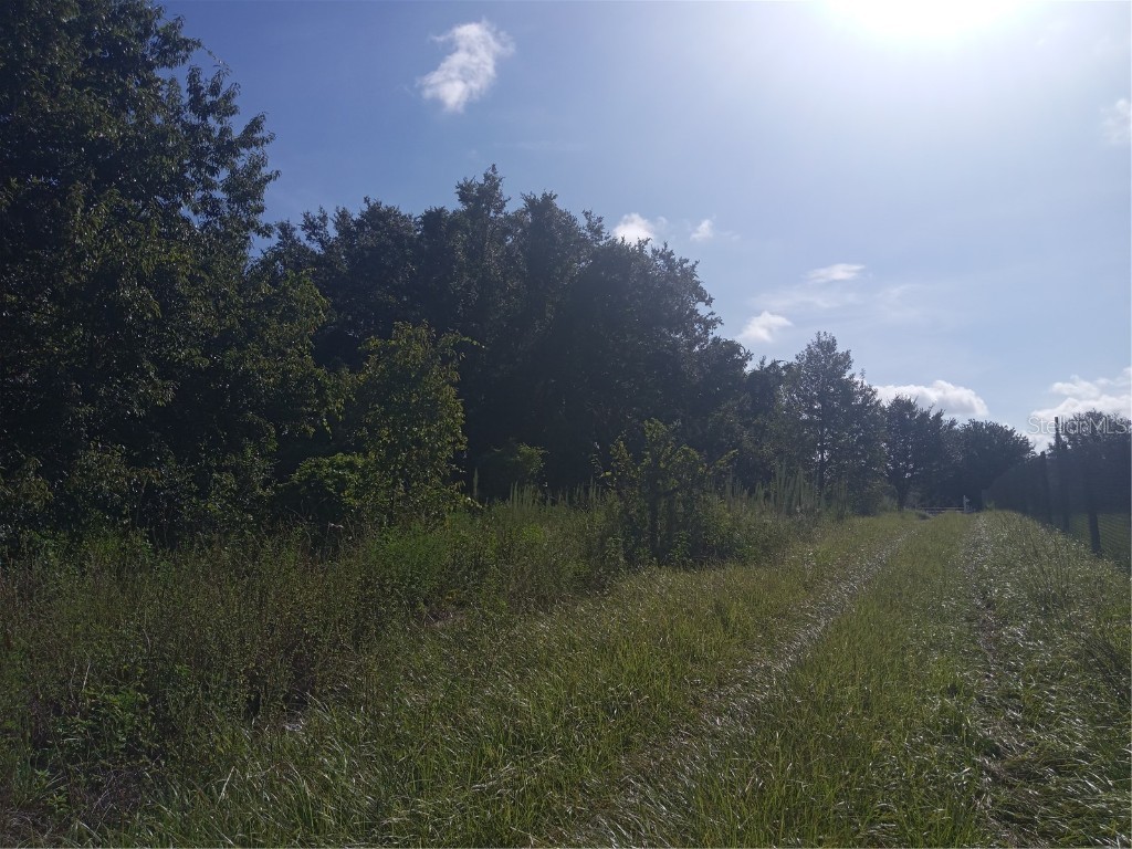 Postal Colony Road Clermont FL 34714 G5100854 image5