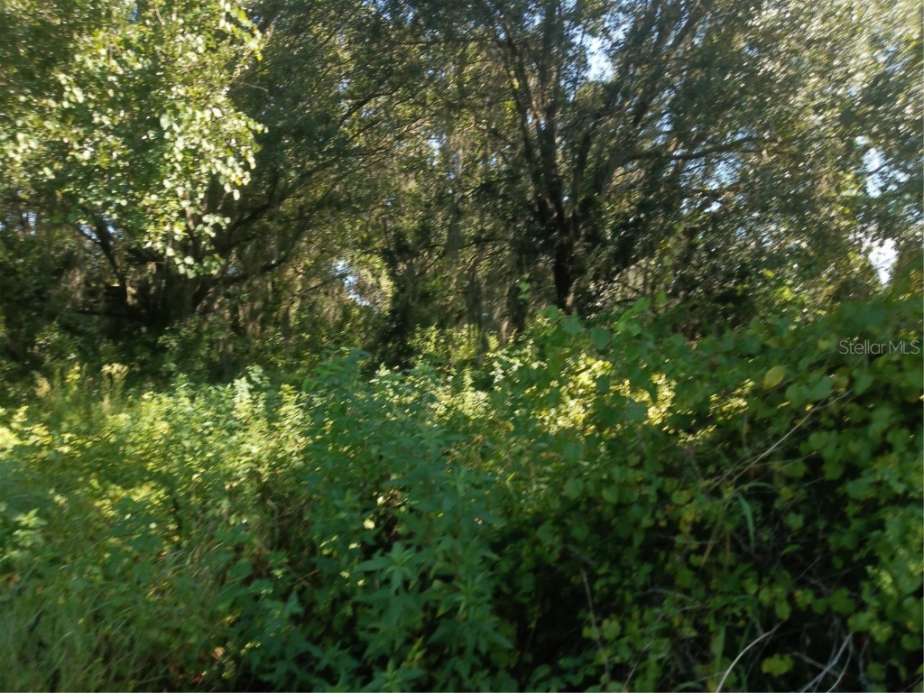 Postal Colony Road Clermont FL 34714 G5100854 image6