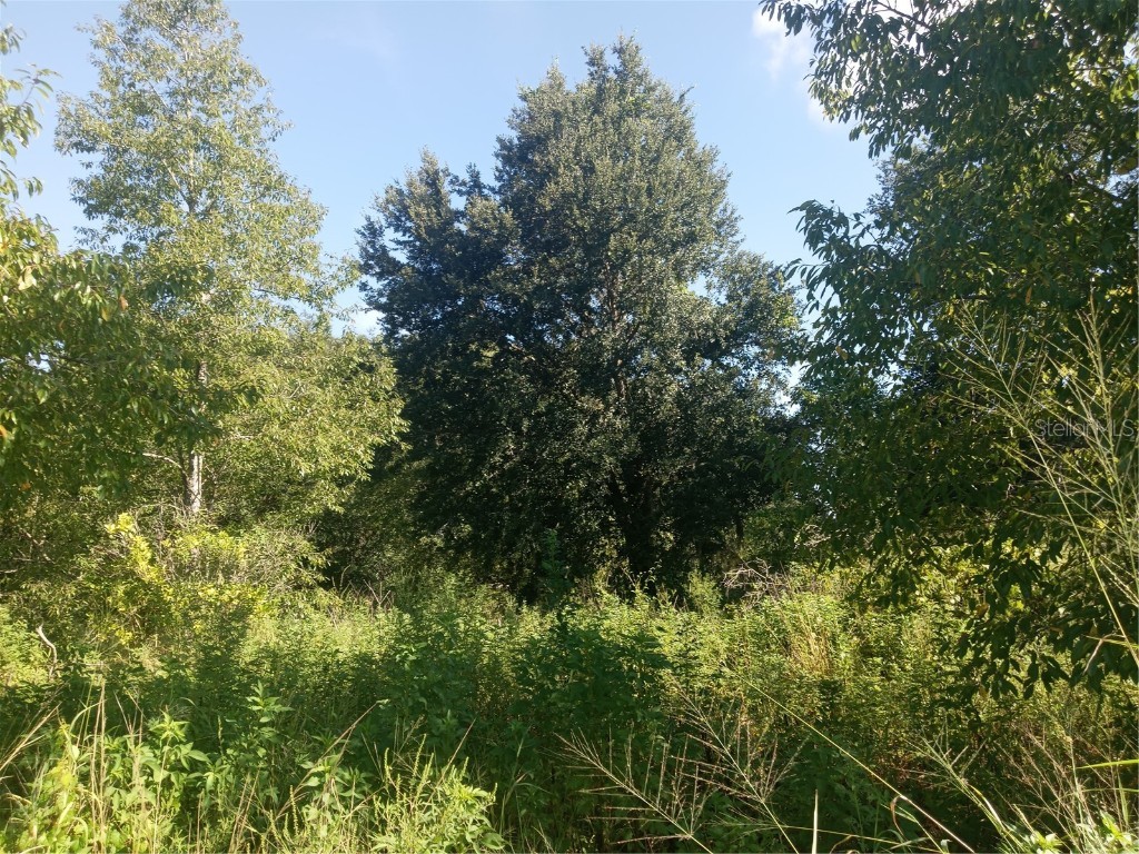 Postal Colony Road Clermont FL 34714 G5100854 image7