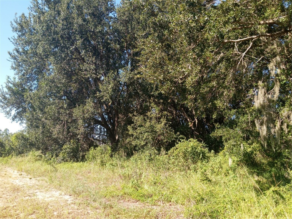 Postal Colony Road Clermont FL 34714 G5100854 image9