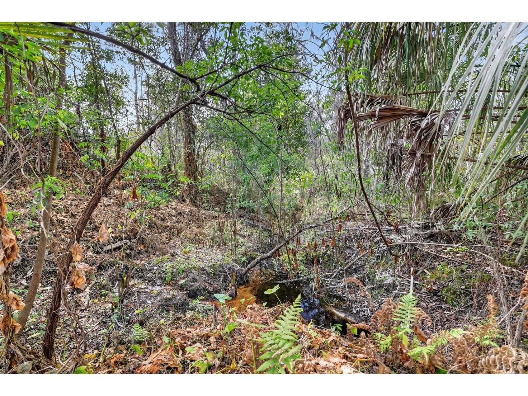 Powell Road Brooksville FL 34602 TB8481260 image10