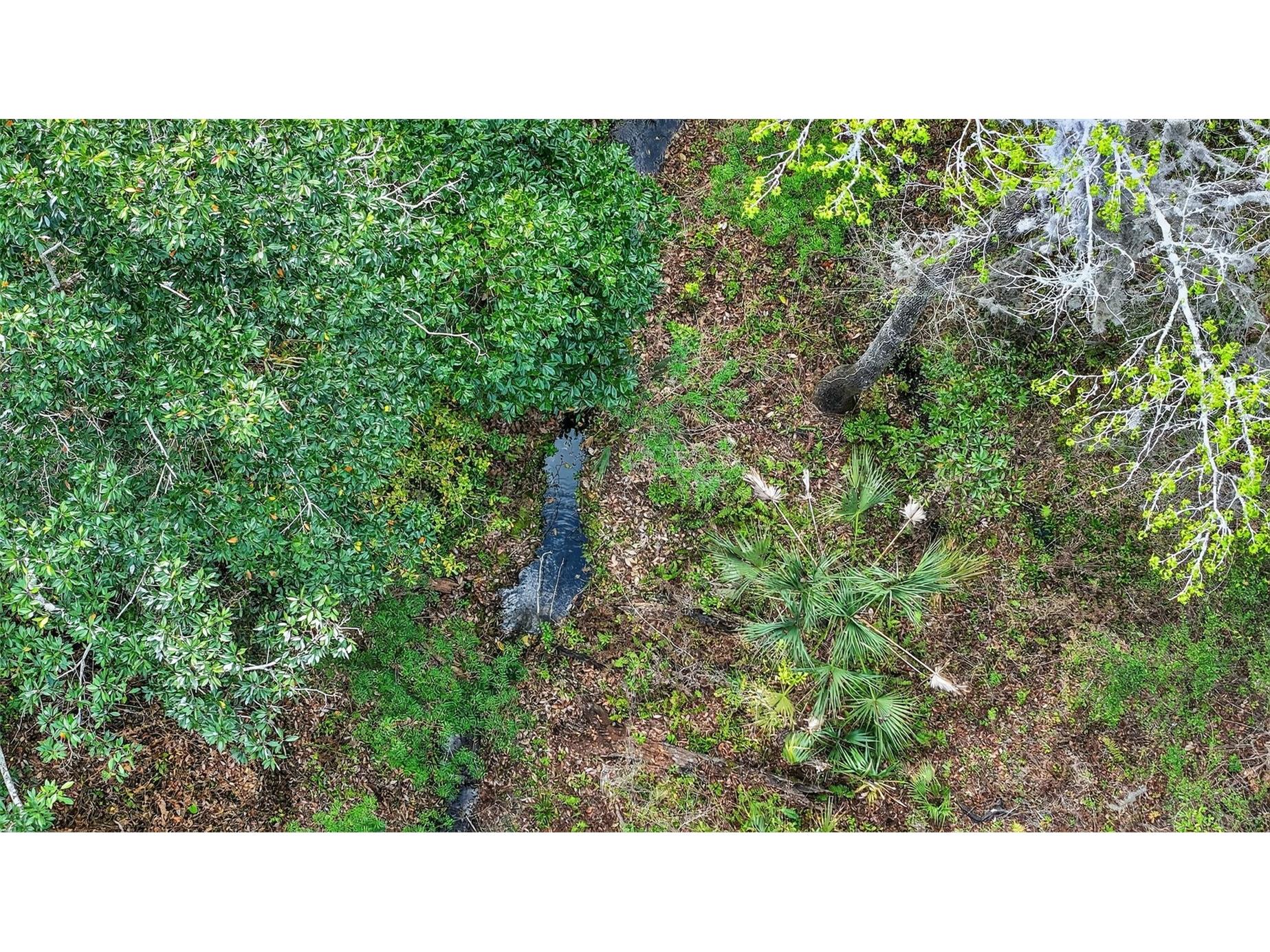 Powell Road Brooksville FL 34602 TB8481260 image12