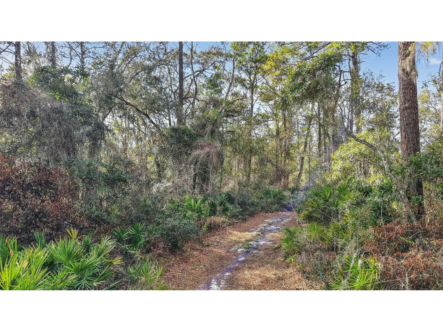 Powell Road Brooksville FL 34602 TB8481260 image4