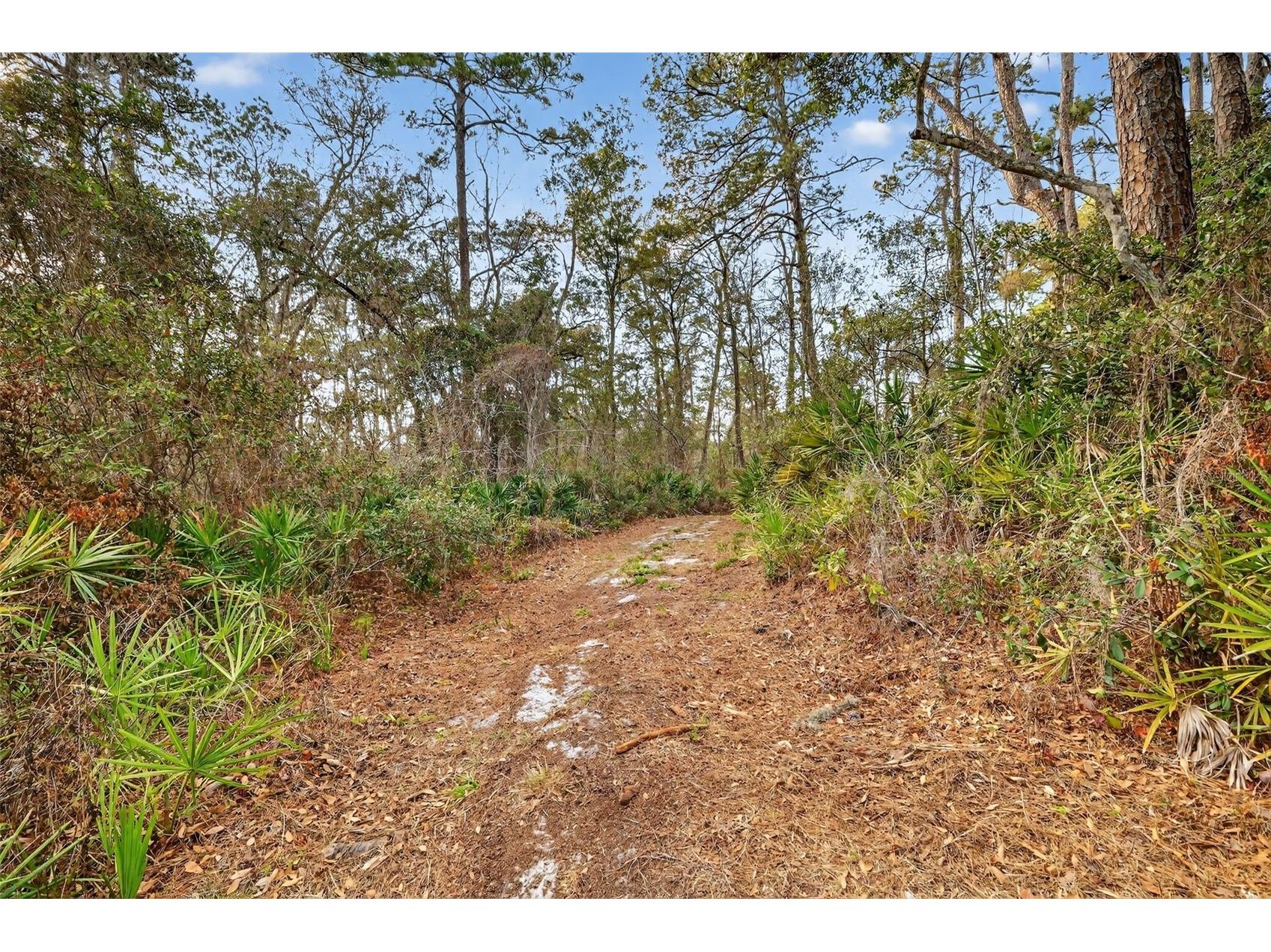 Powell Road Brooksville FL 34602 TB8481260 image5