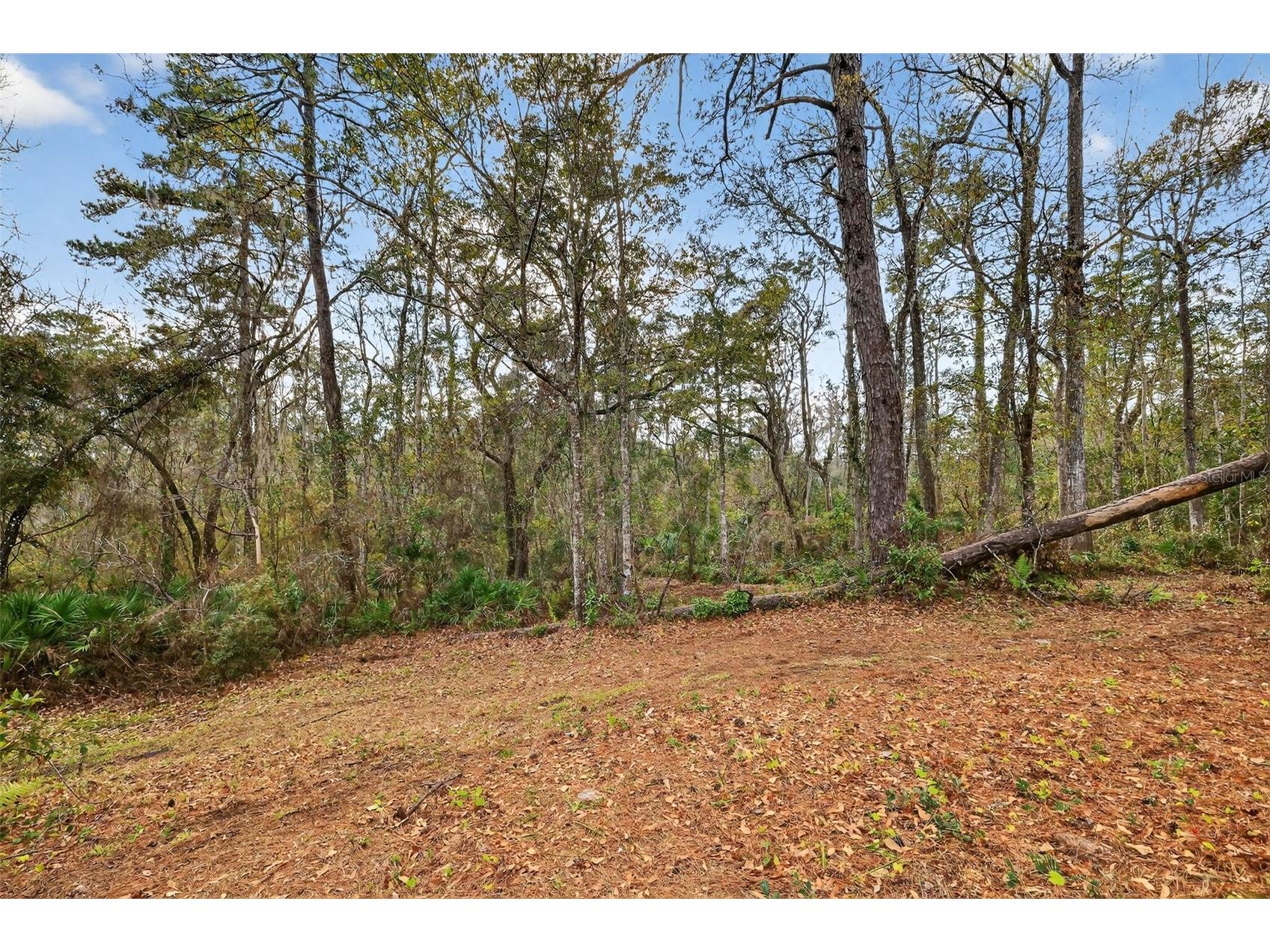 Powell Road Brooksville FL 34602 TB8481260 image6