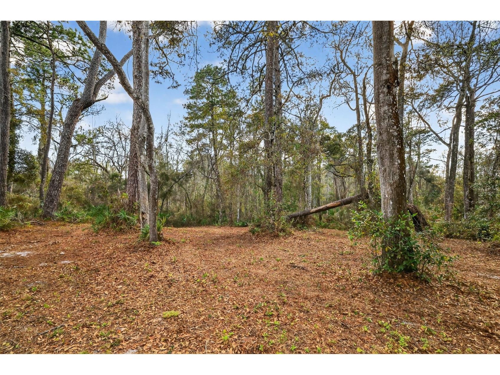 Powell Road Brooksville FL 34602 TB8481260 image7