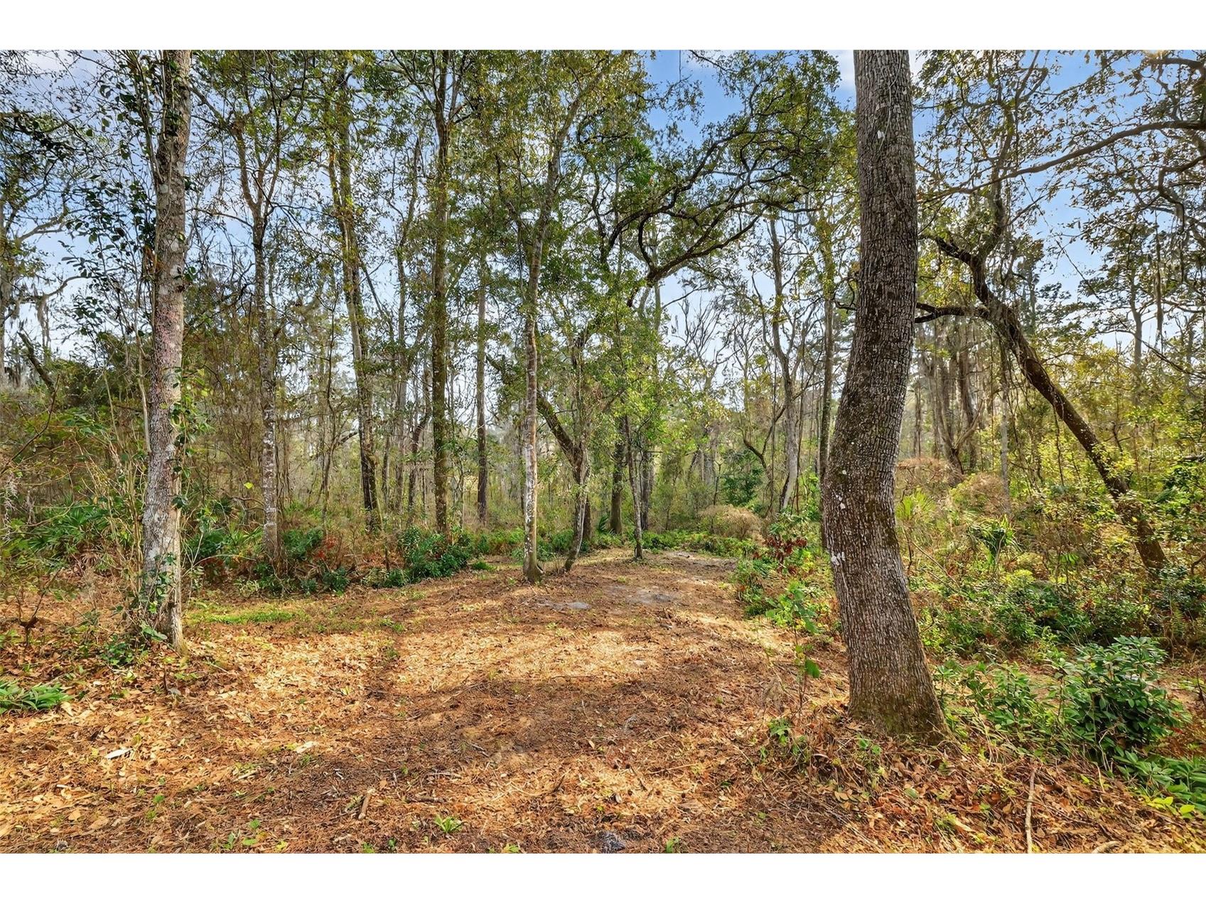 Powell Road Brooksville FL 34602 TB8481260 image8