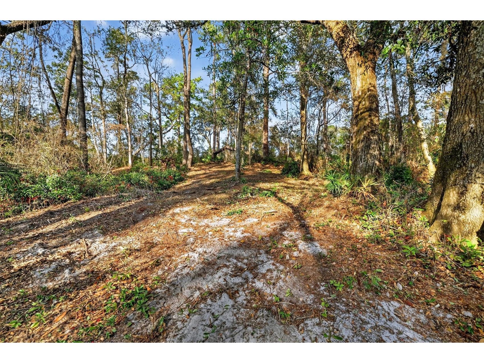 Powell Road Brooksville FL 34602 TB8481260 image9