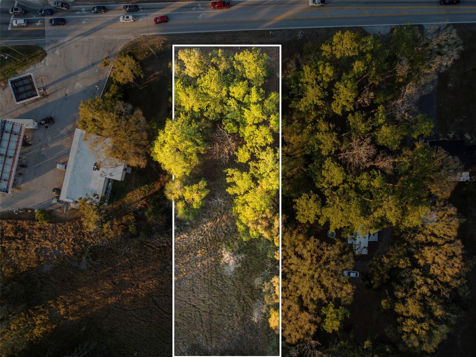 Powell Road Brooksville FL 34604 TB8473778 image10