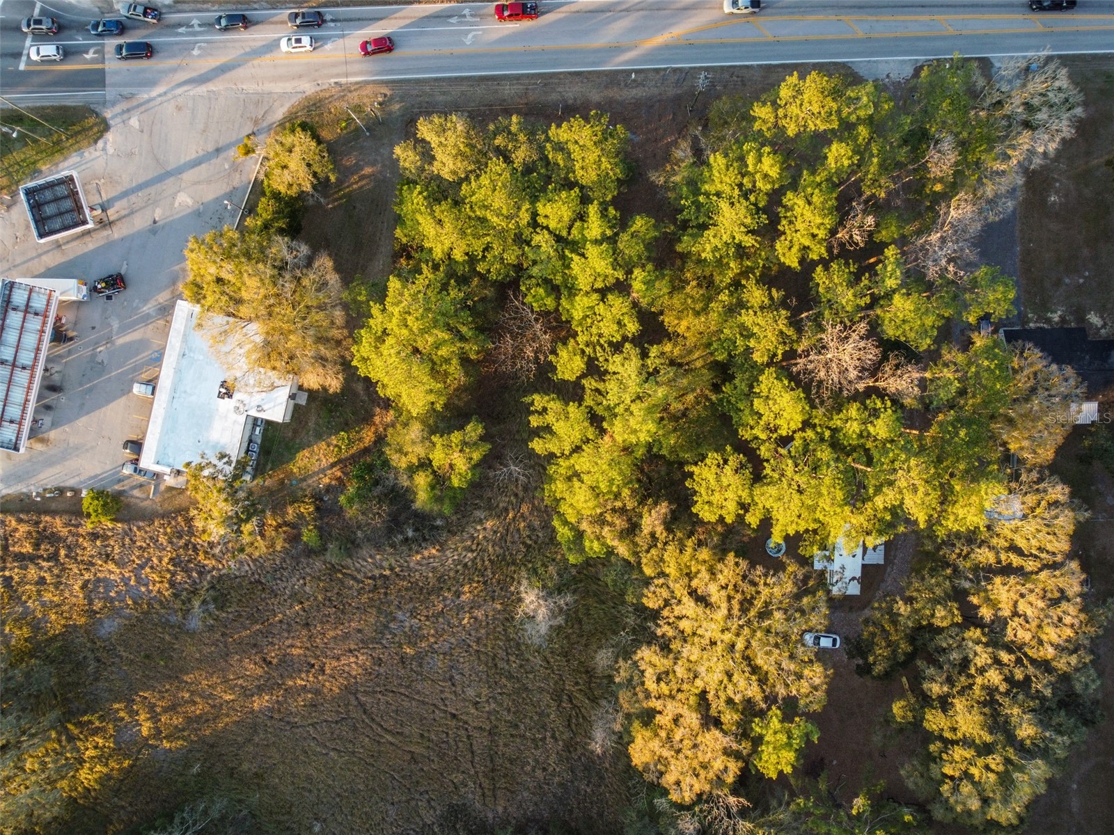 Powell Road Brooksville FL 34604 TB8473778 image11