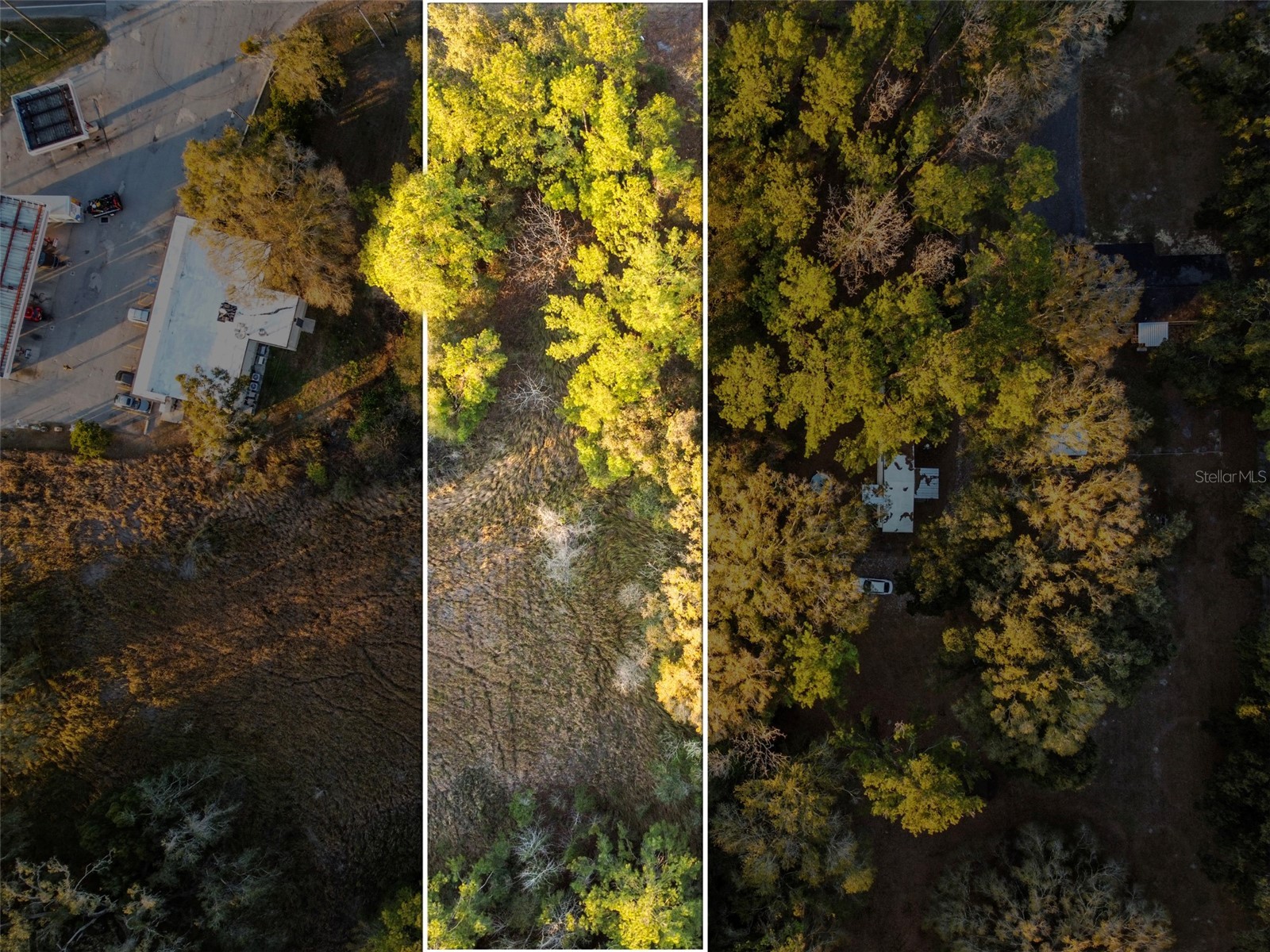 Powell Road Brooksville FL 34604 TB8473778 image12