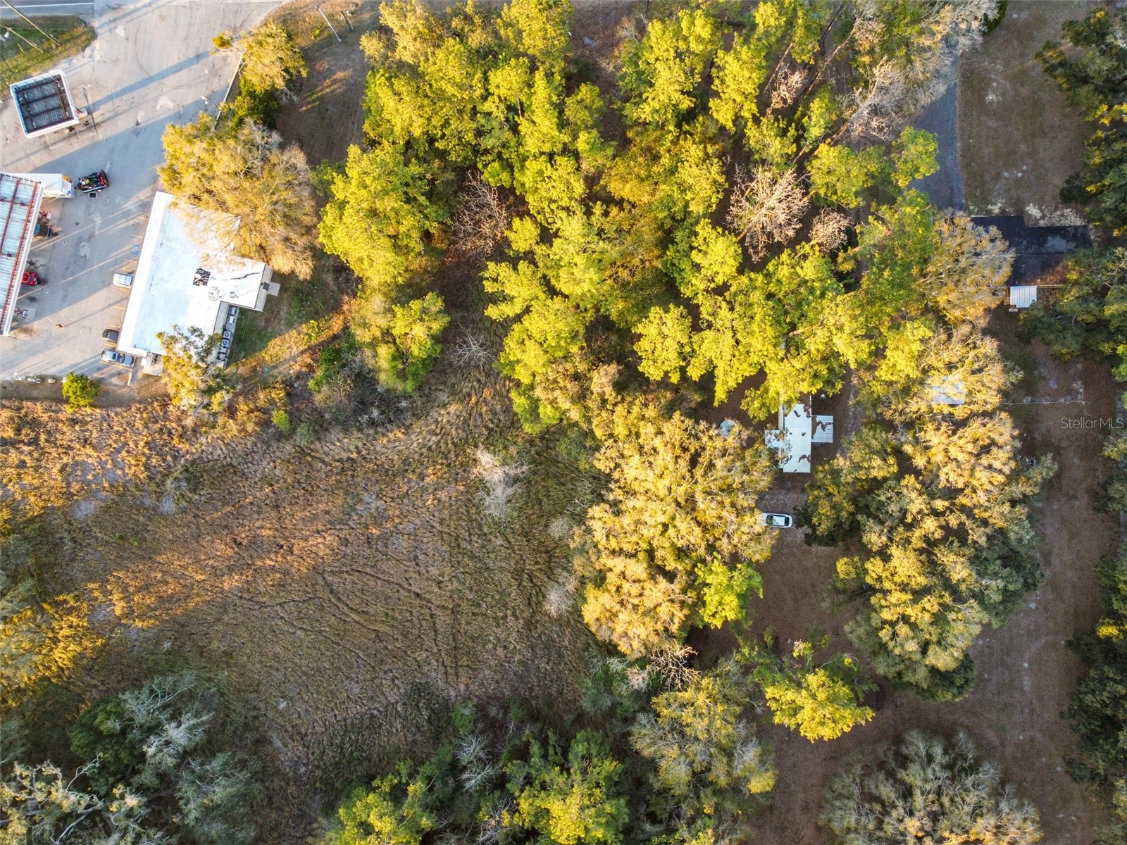 Powell Road Brooksville FL 34604 TB8473778 image13