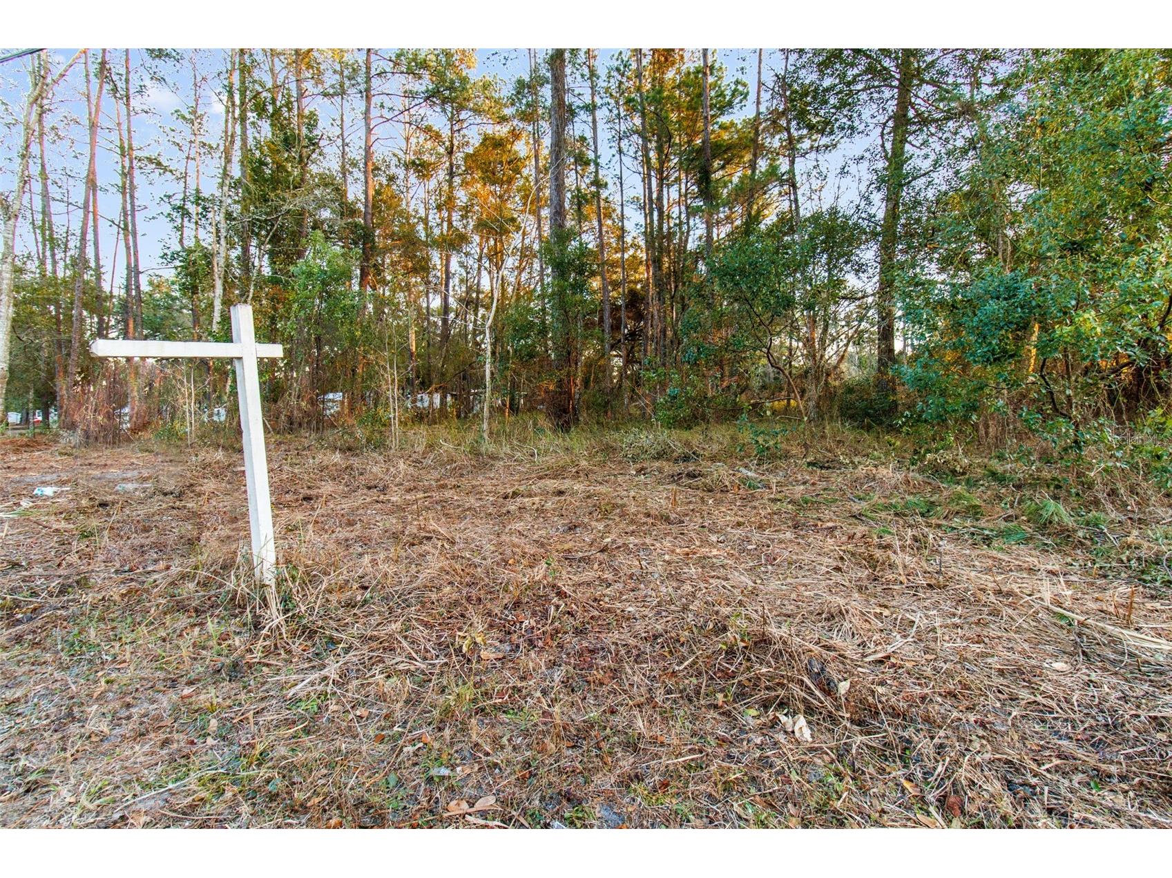 Powell Road Brooksville FL 34604 TB8473778 image14