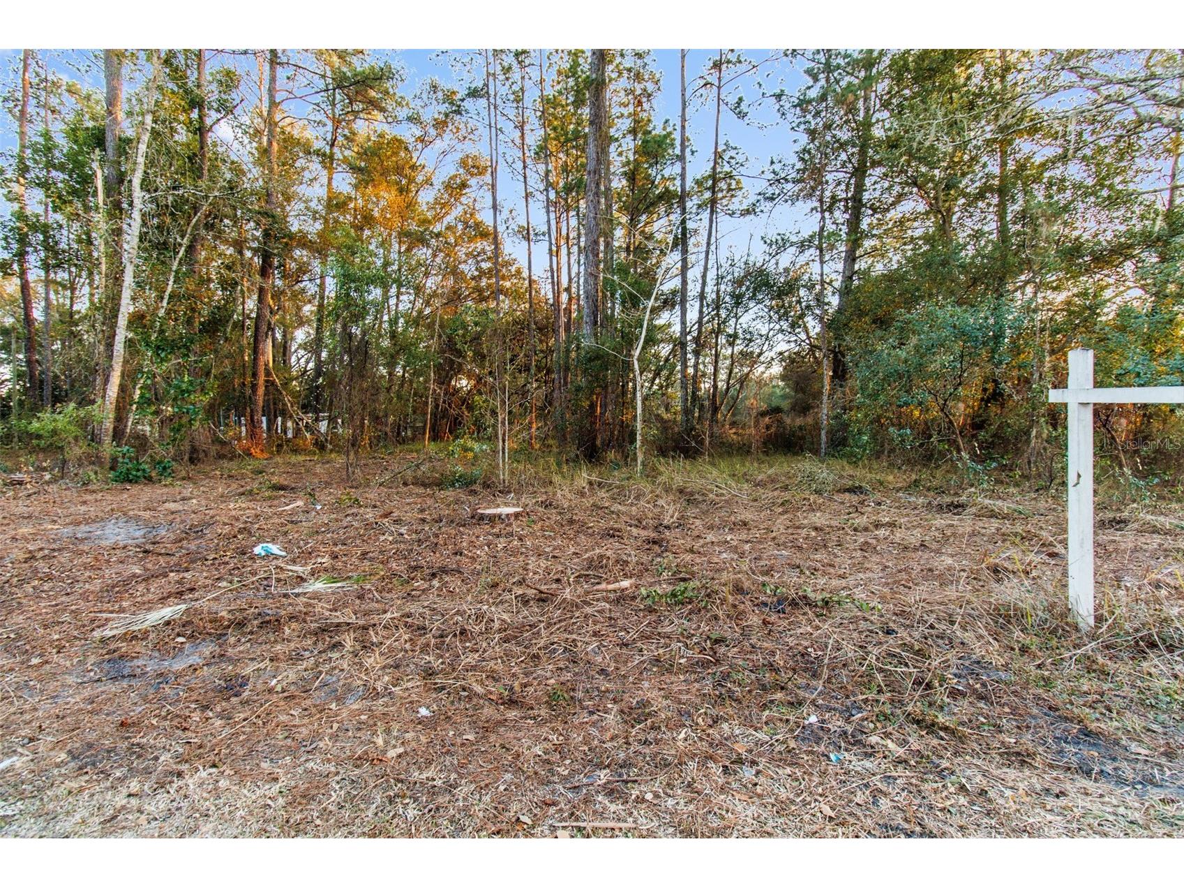 Powell Road Brooksville FL 34604 TB8473778 image15