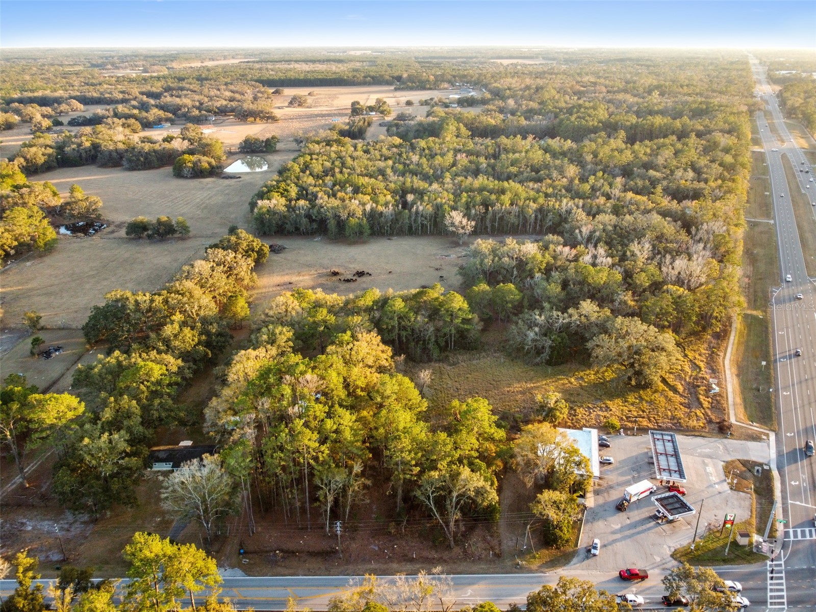 Powell Road Brooksville FL 34604 TB8473778 image2