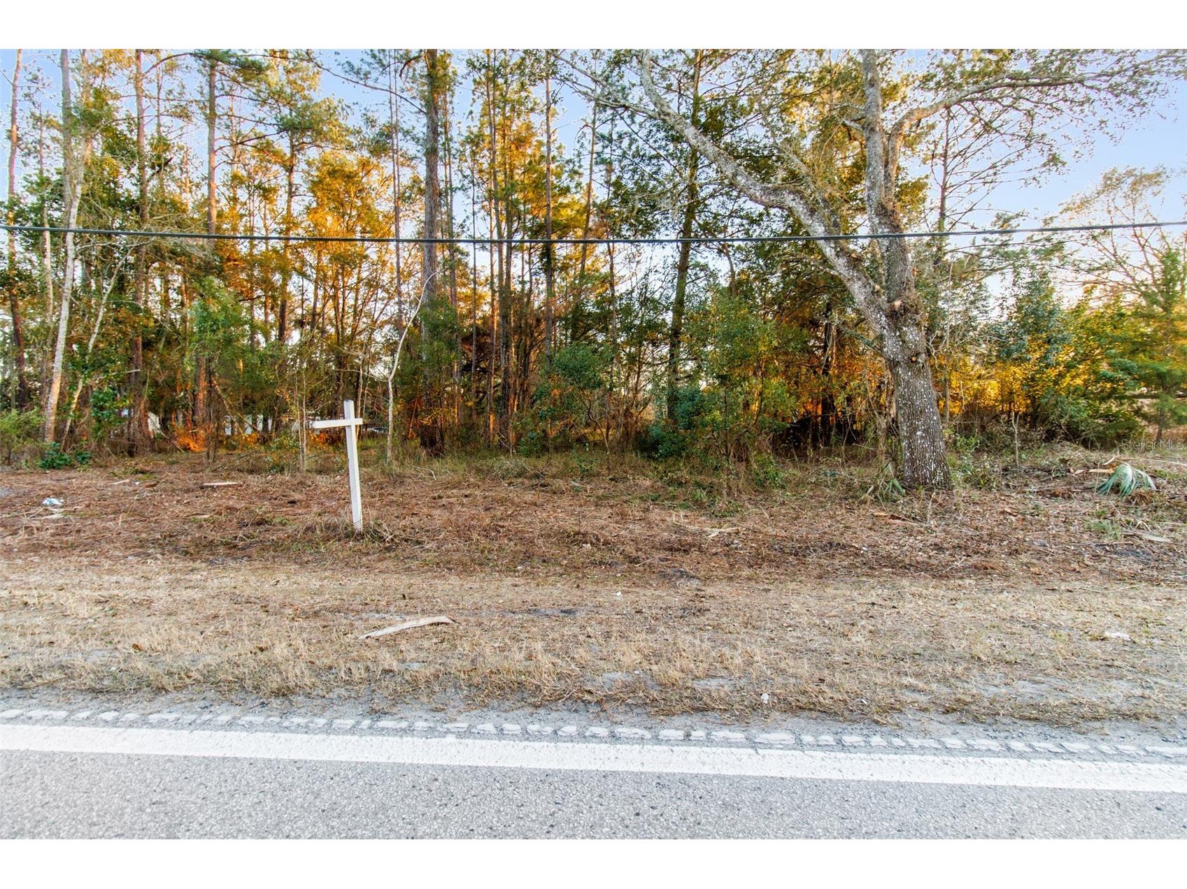 Powell Road Brooksville FL 34604 TB8473778 image3