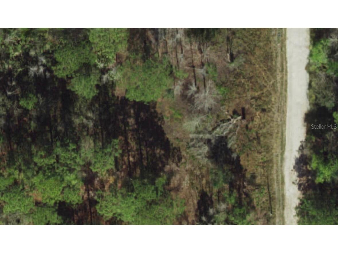 Powell Street New Port Richey FL 34654 TB8482512 image1