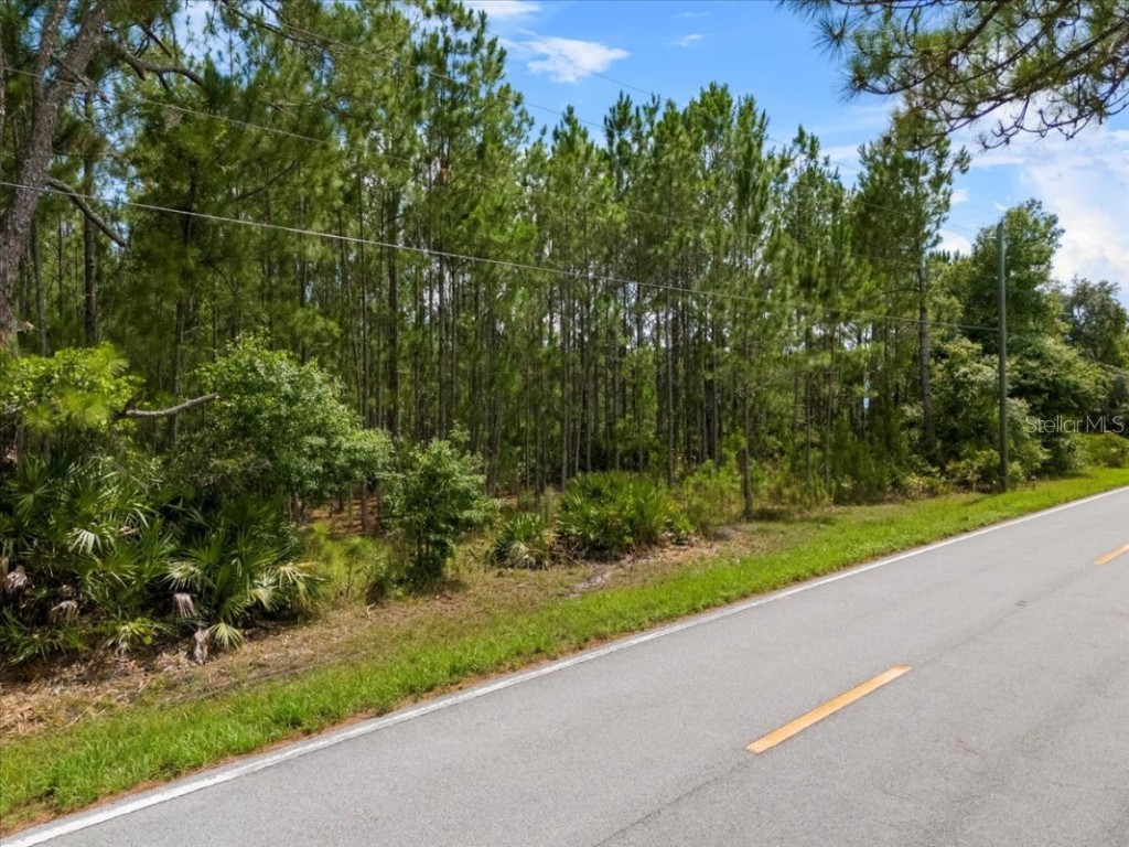 Poyner Oaks Road N Polk City FL 33868 A4618117 image1