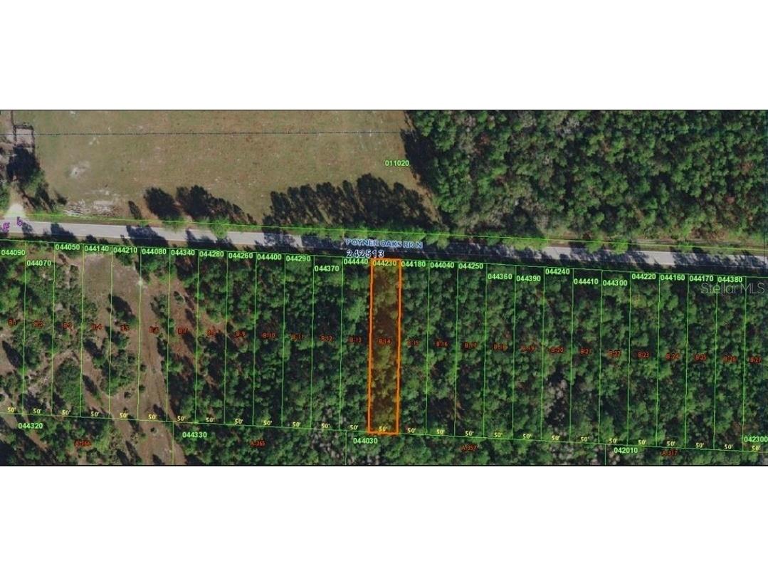 Poyner Oaks Road N Polk City FL 33868 J996969 image1