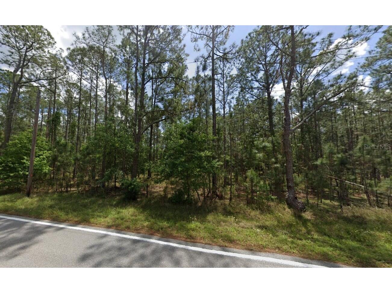 Poyner Oaks Road N Polk City FL 33868 O6391490 image1