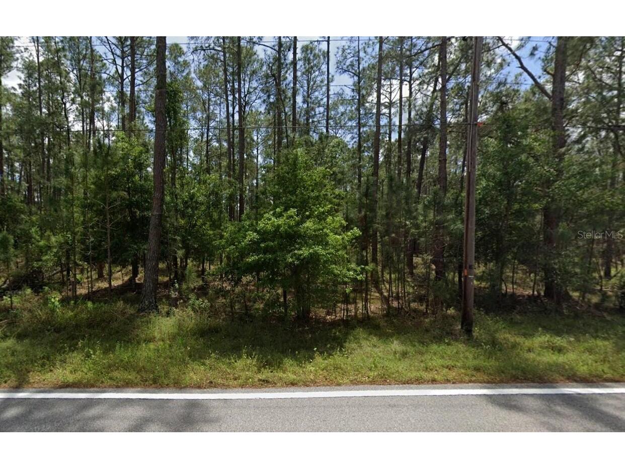 Poyner Oaks Road N Polk City FL 33868 O6391490 image2