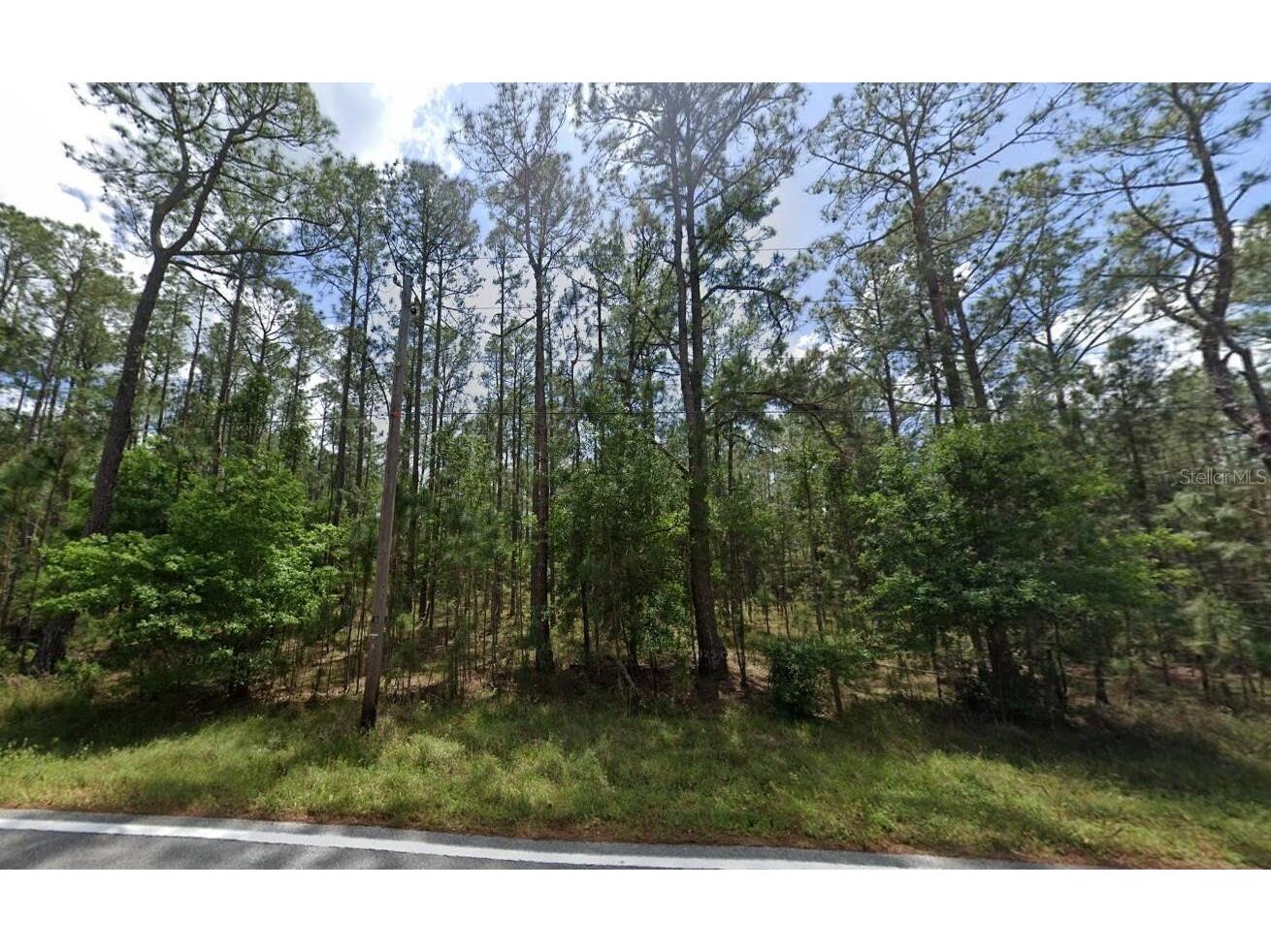 Poyner Oaks Road N Polk City FL 33868 O6391490 image3