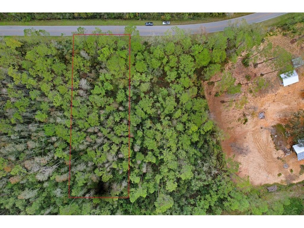 Poyner Road Polk City FL 33868 L4958754 image3