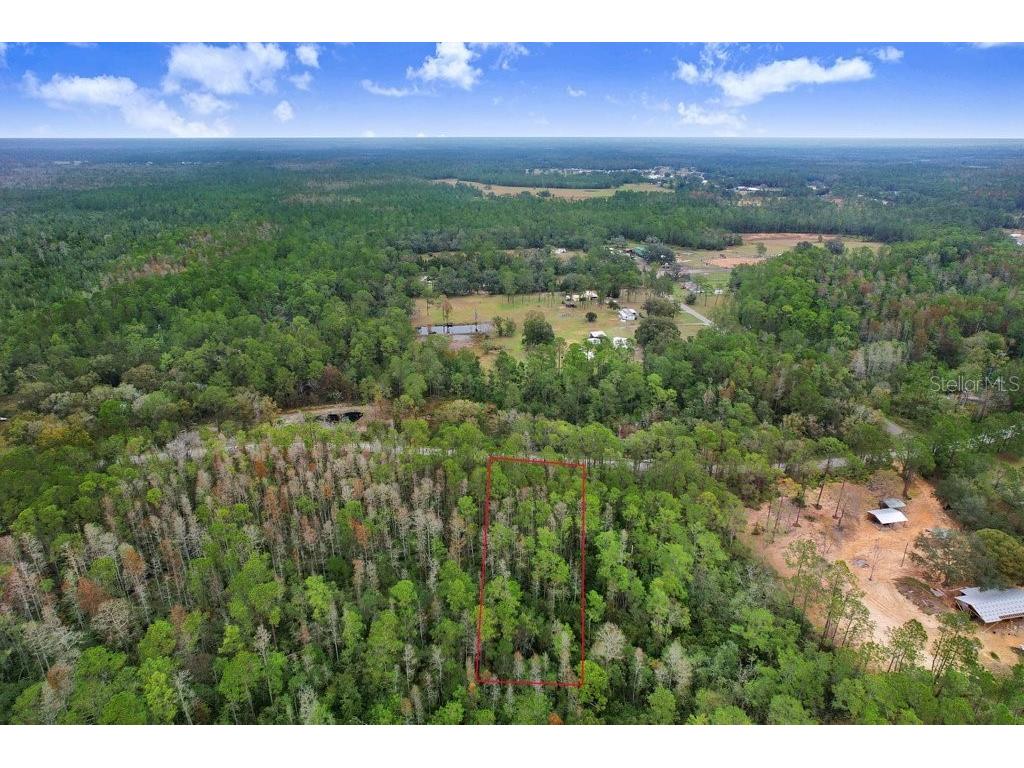 Poyner Road Polk City FL 33868 L4958754 image7