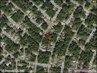 Prime Terrace North Port FL 34286 C7448007 image1