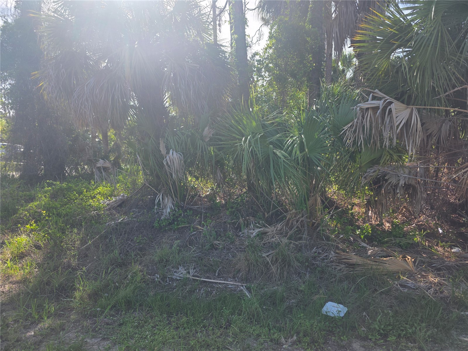 Prime Terrace North Port FL 34286 C7527426 image1