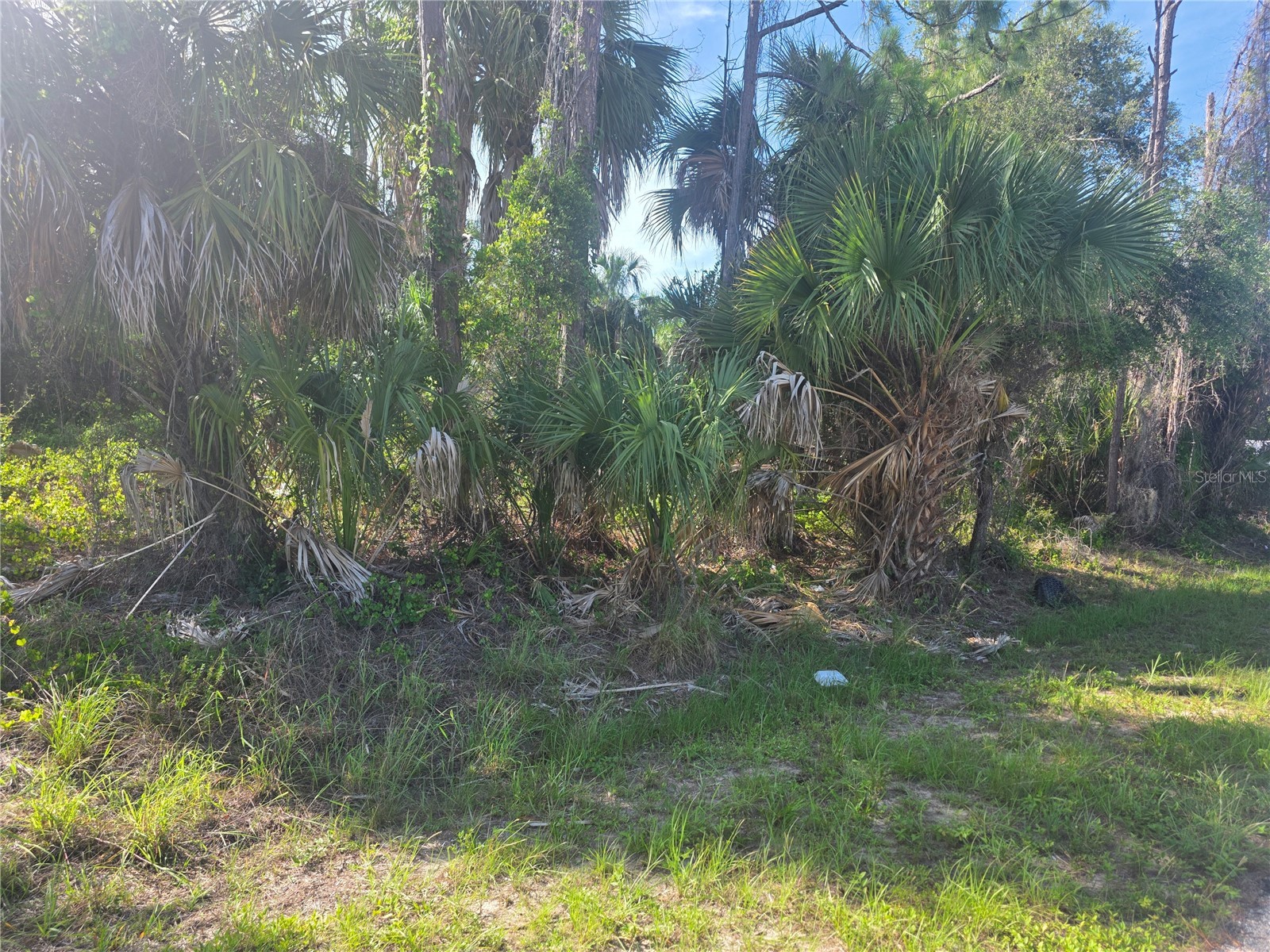 Prime Terrace North Port FL 34286 C7527426 image2
