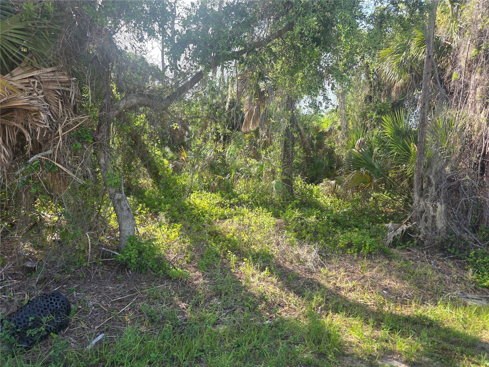 Prime Terrace North Port FL 34286 C7527426 image3