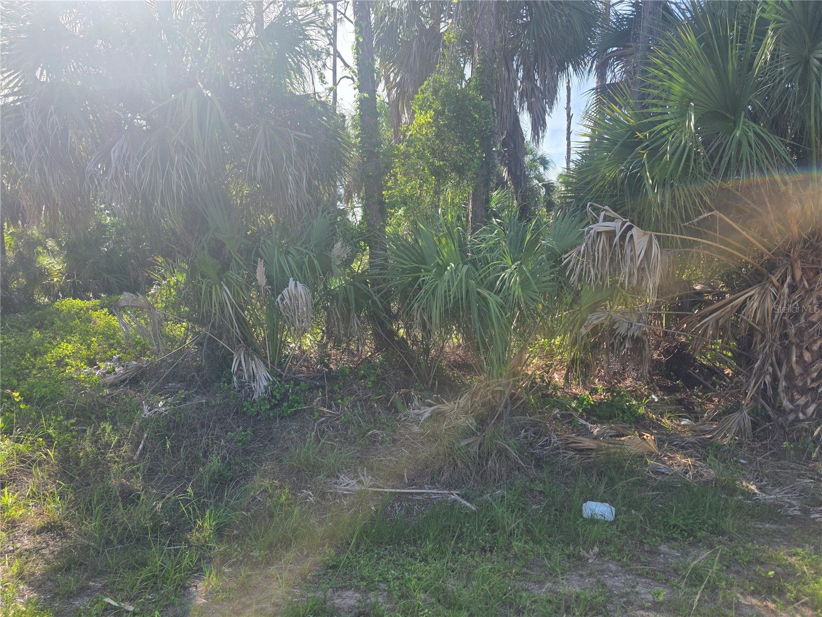 Prime Terrace North Port FL 34286 C7527426 image4