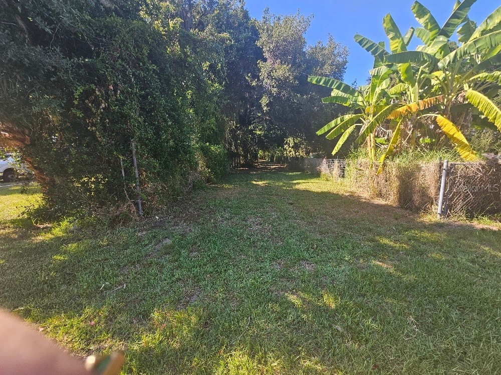 Private Drive Tavares FL 32778 O6350693 image3