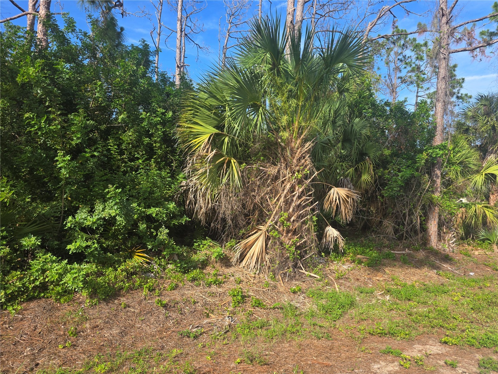 Pronto Lane North Port FL 34286 C7527436 image1