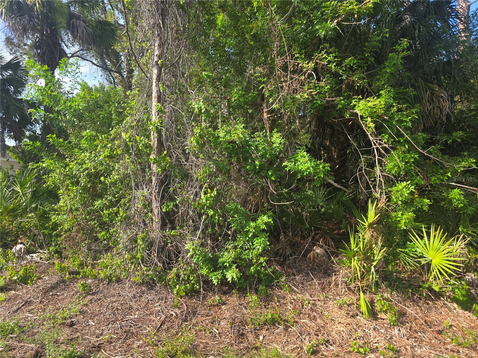 Pronto Lane North Port FL 34286 C7527436 image2