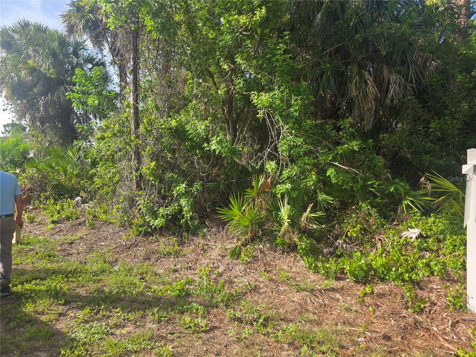 Pronto Lane North Port FL 34286 C7527436 image3